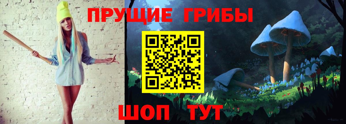 Ахтубинск  Галлюциногенные грибы Psilocybe  Вход с VPN 